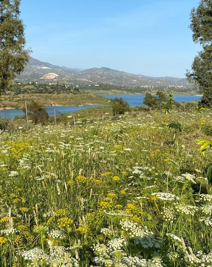La Rustica En Vinuela, Piscina Privada Villa Eksteriør bilde